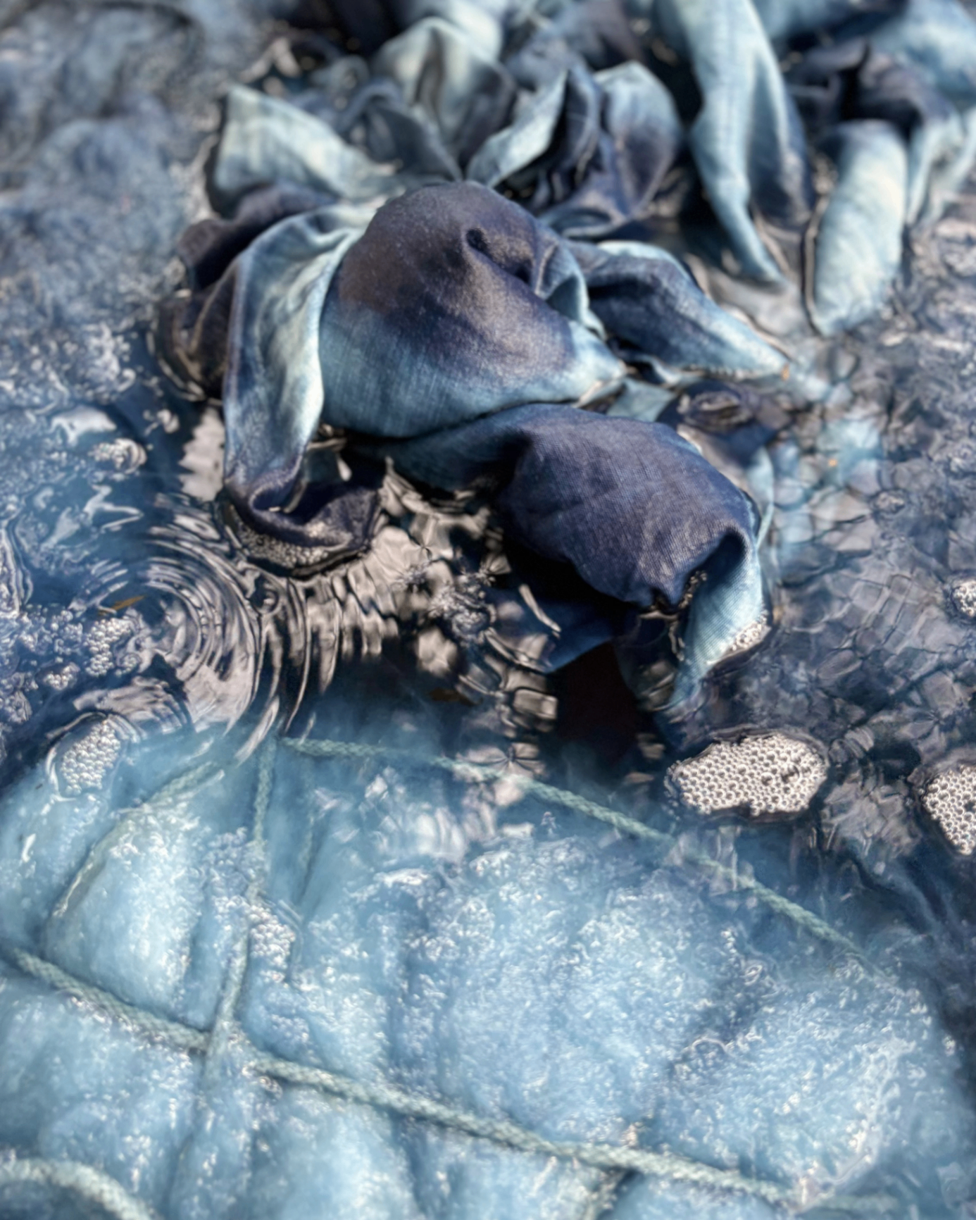 Natural dye ingredients — madder root and indigo leaves